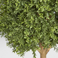 Artificial Boxwood Ball Tree featuring dense realistic boxwood foliage in a classic topiary ball shape.