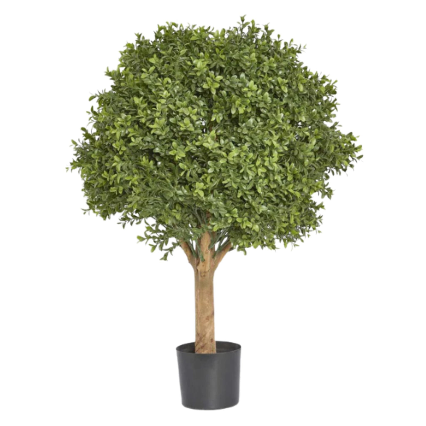 Artificial Boxwood Ball Tree 75cm with realistic green foliage and natural trunk for Hamptons indoor and outdoor styling.