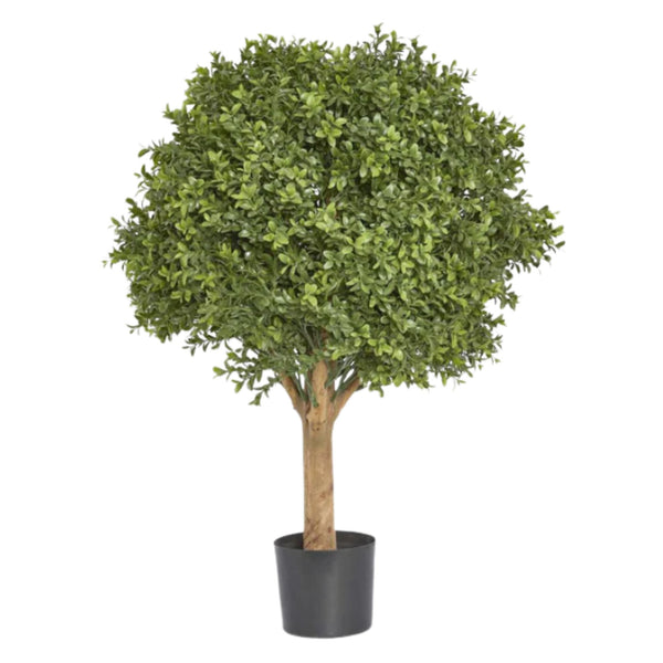 Artificial Boxwood Ball Tree 75cm with realistic green foliage and natural trunk for Hamptons indoor and outdoor styling.
