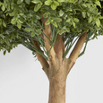 Close-up of the realistic green foliage on the Artificial Boxwood Ball Tree showing detailed lifelike leaves.
