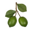 Artificial lime branch with two realistic green limes and textured leaves on a brown stem