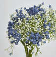 Baby Breath Bouquet Blue 27cm