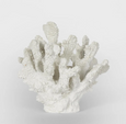 Bay White Coral decorative sculpture with intricate white coral detailing on white background
