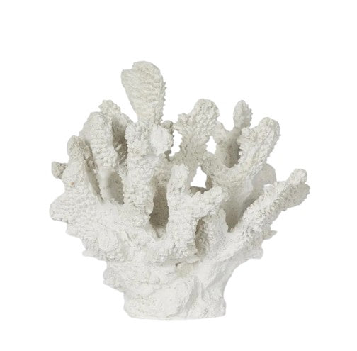 Bay White Coral decorative sculpture with intricate white coral detailing on white background