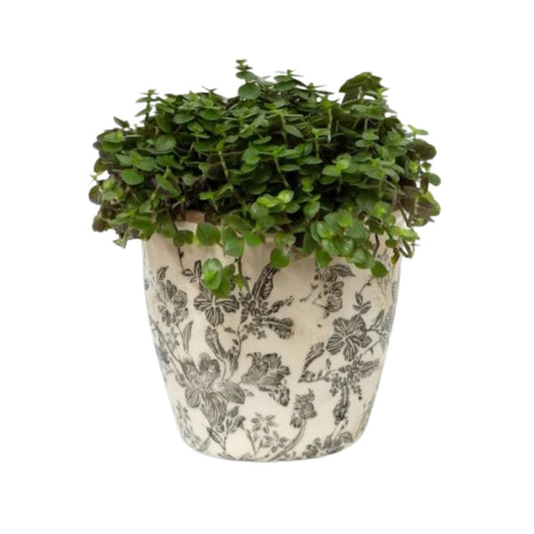 Black Floral Pot Large