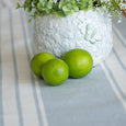 Blue Bay Stripe Chambray Table Runner in soft blue and white styled with a textured white floral pot, greenery and fresh limes.