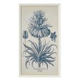 Blue Botanics Wall Art 'B'