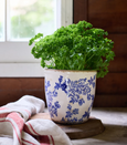 Blue Floral Herb Pot Large