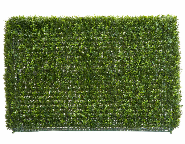 Boxwood Hedge 55 x 95cm