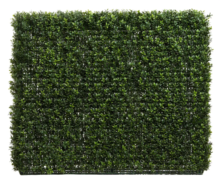 Boxwood Hedge 75 x 100cm