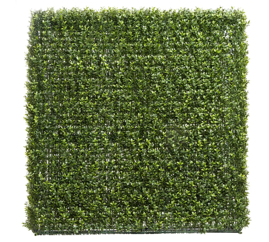 Boxwood Hedge 95 x 100cm