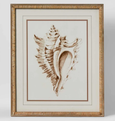 Conch Wall Art A