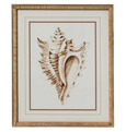 Conch Wall Art A