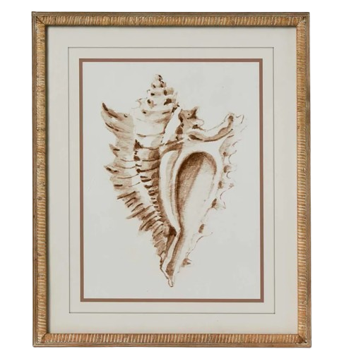 Conch Wall Art A