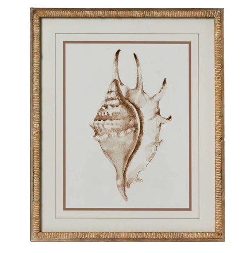 Conch Wall Art B