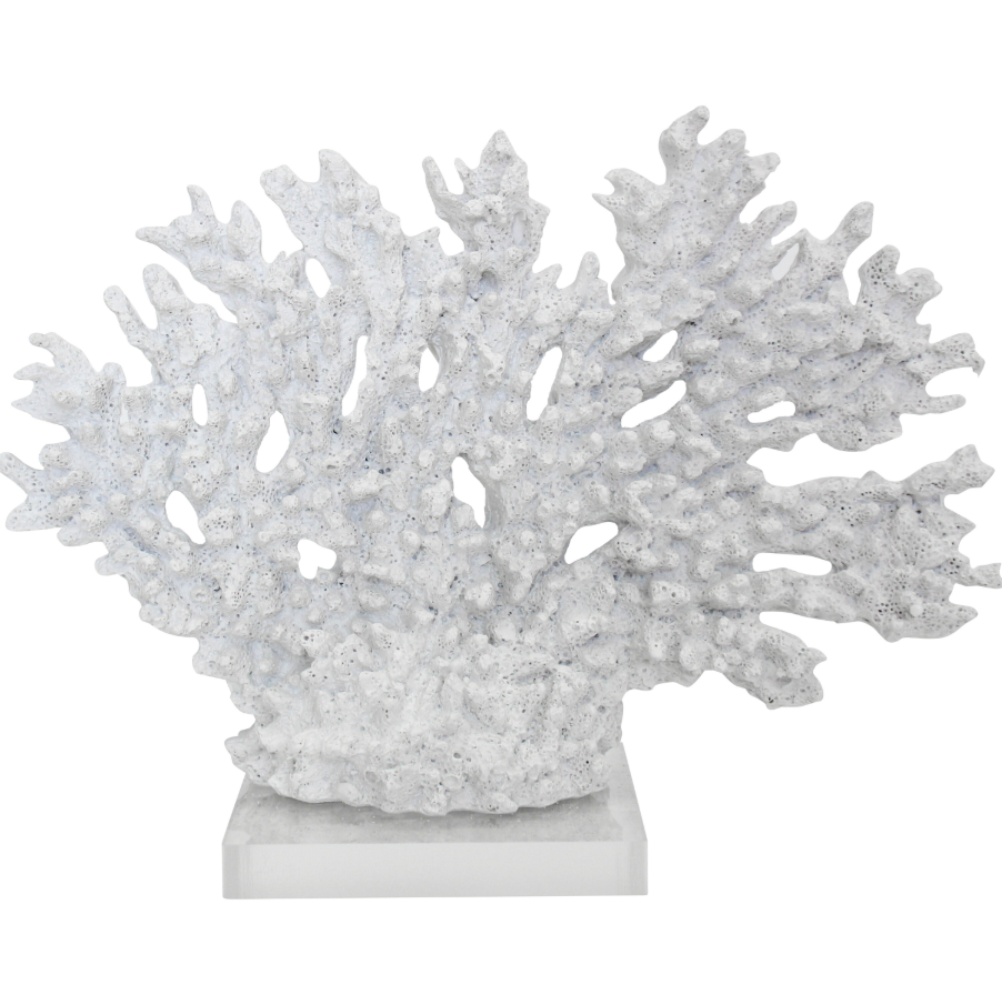 White coral branch sculpture on a clear acrylic base for Hamptons, coastal and contemporary home styling.