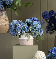 Cove Hydrangea Arrangement Medium