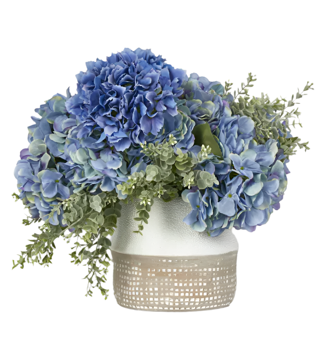 Cove Hydrangea Arrangement Medium