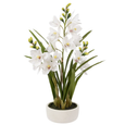 Artificial Cymbidium Orchid in Stone Pot White featuring realistic white blooms, green foliage and a contemporary planter for Hamptons interiors.