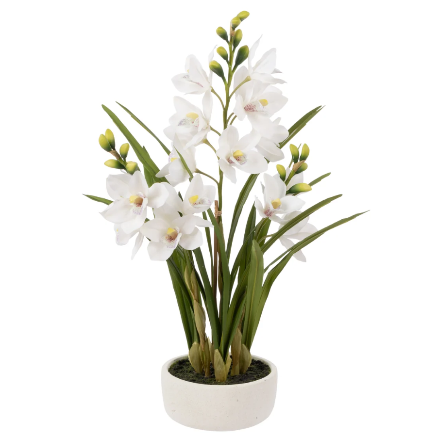 Artificial Cymbidium Orchid in Stone Pot White featuring realistic white blooms, green foliage and a contemporary planter for Hamptons interiors.