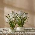 Two artificial Cymbidium Orchid in Stone Pot White arrangements styled together on a table in a bright contemporary interior.