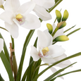 Close-up of realistic white Cymbidium orchid flowers with unopened buds and lifelike green foliage.