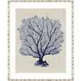 Designer Boys Coral SPLENDOUR Indigo X framed artwork featuring an intricate indigo blue coral fan on a soft neutral background.