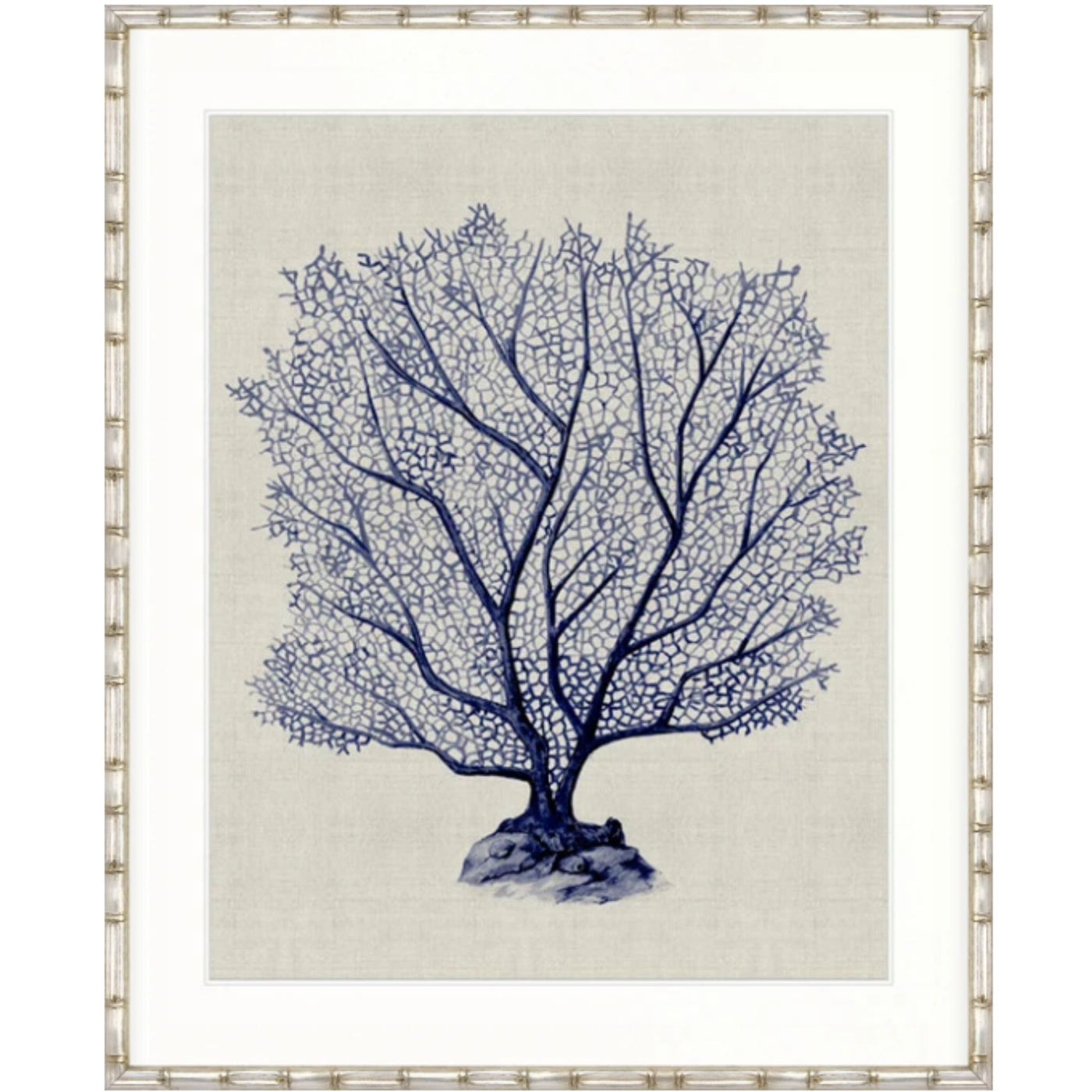 Designer Boys Coral SPLENDOUR Indigo X framed artwork featuring an intricate indigo blue coral fan on a soft neutral background.