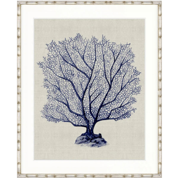 Designer Boys Coral SPLENDOUR Indigo X framed artwork featuring an intricate indigo blue coral fan on a soft neutral background.
