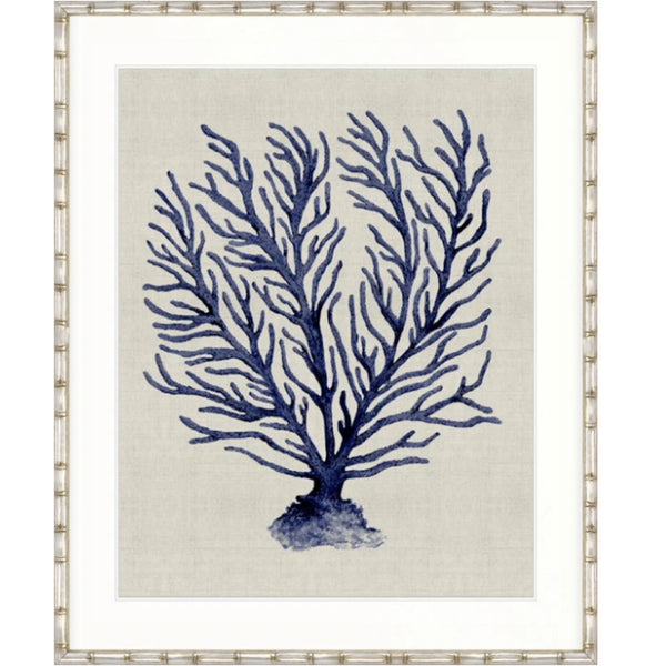 Designer Boys Coral SPLENDOUR Indigo XII framed artwork featuring a branching indigo blue coral study on a soft neutral background.