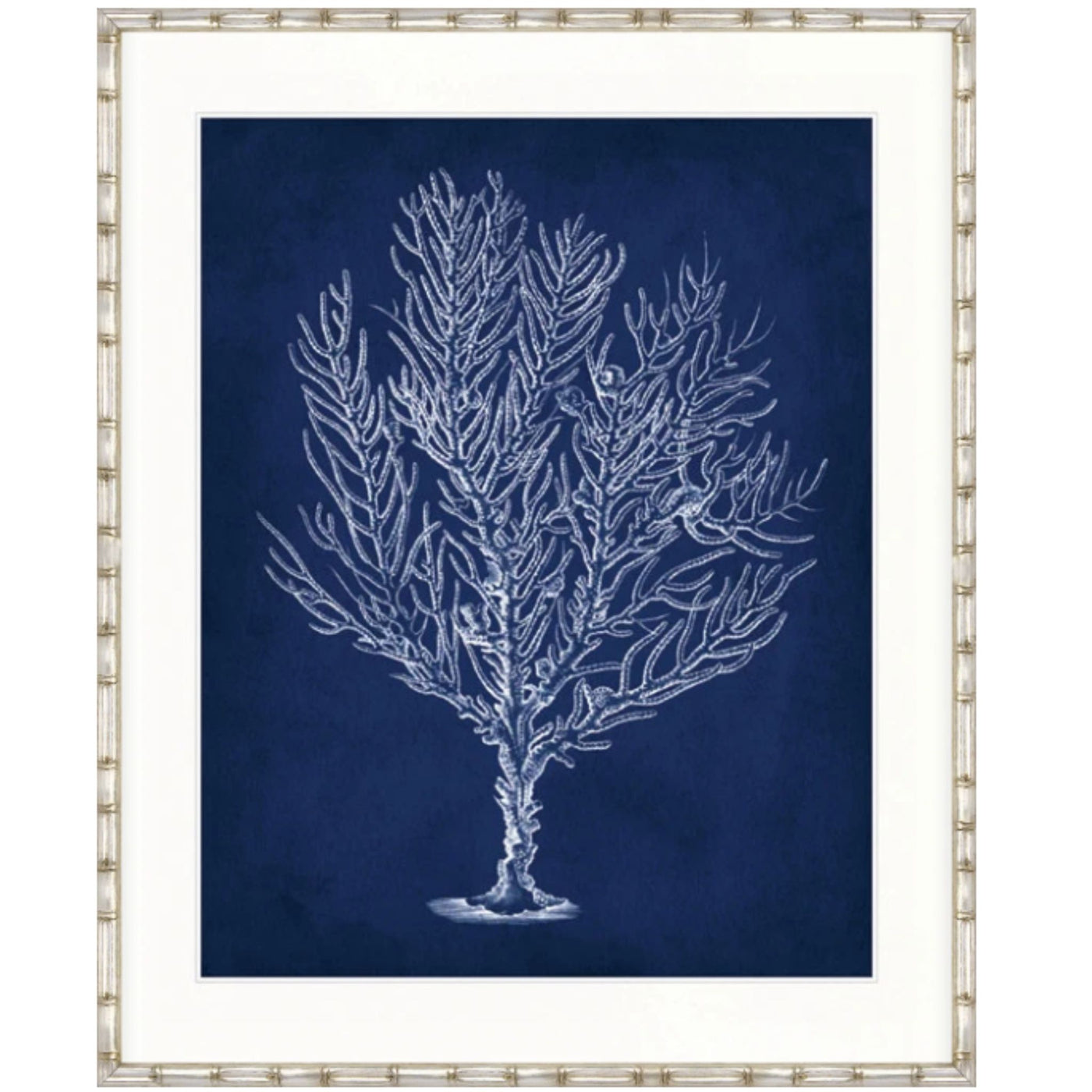 Designer Boys Curious Coral Delight VIII framed artwork featuring an archival white branching coral illustration on a deep navy blue background.