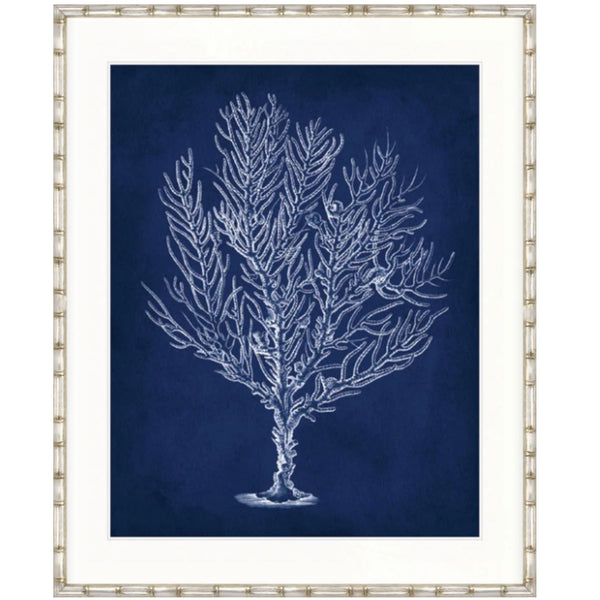 Designer Boys Curious Coral Delight VIII framed artwork featuring an archival white branching coral illustration on a deep navy blue background.