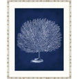 Designer Boys Curious Coral Delight X framed artwork featuring an archival white branching coral illustration on a deep navy blue background.