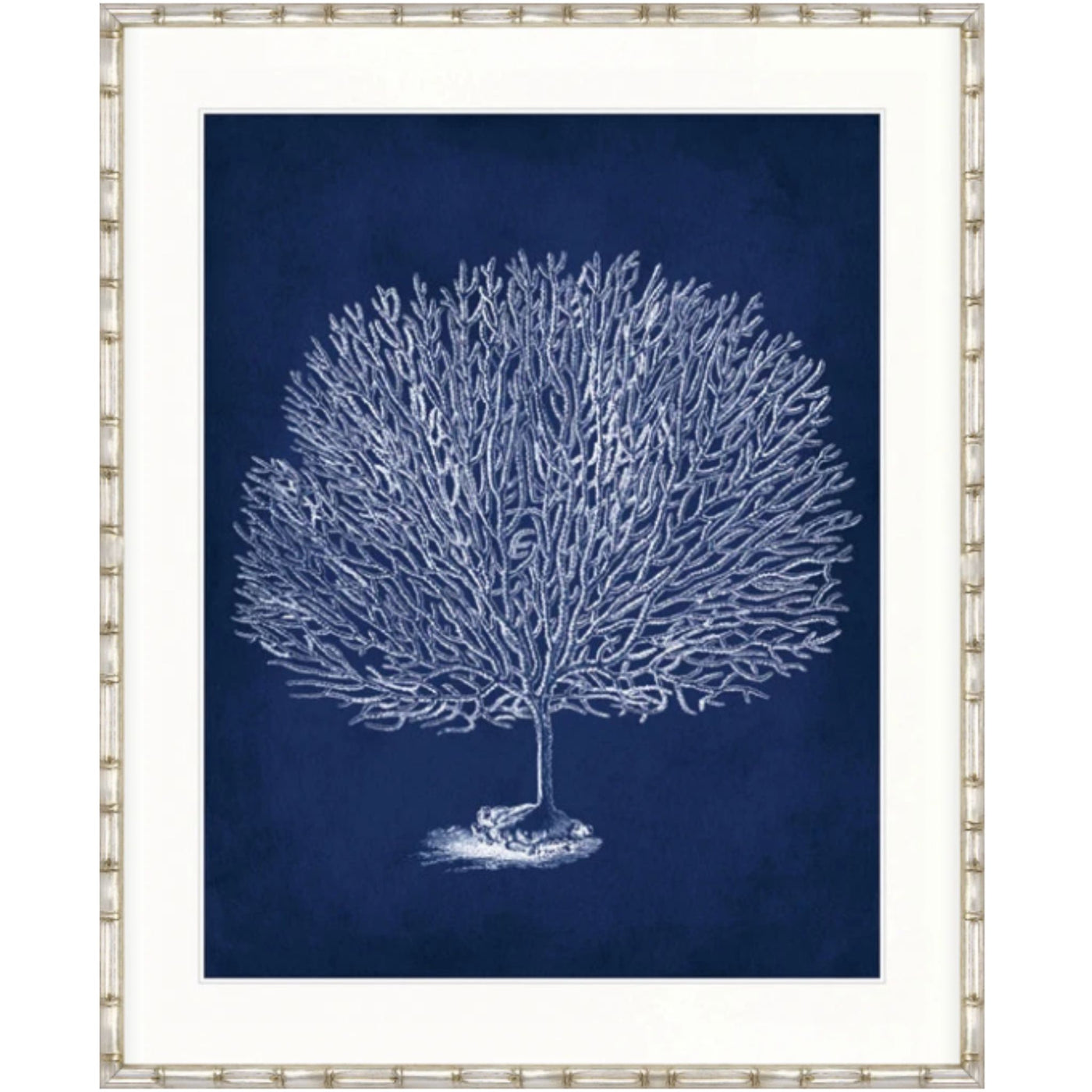Designer Boys Curious Coral Delight X framed artwork featuring an archival white branching coral illustration on a deep navy blue background.