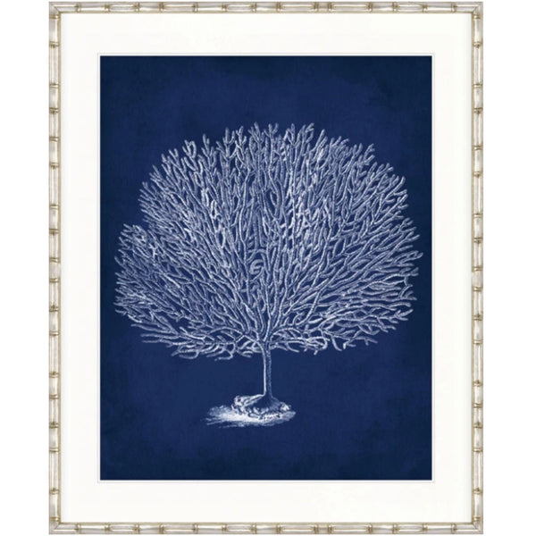 Designer Boys Curious Coral Delight X framed artwork featuring an archival white branching coral illustration on a deep navy blue background.