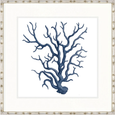 Designer Boys Natural Coral IX Indigo framed artwork featuring an archival deep blue branching coral illustration on white fine art paper.