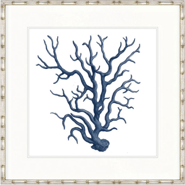 Designer Boys Natural Coral IX Indigo framed artwork featuring an archival deep blue branching coral illustration on white fine art paper.