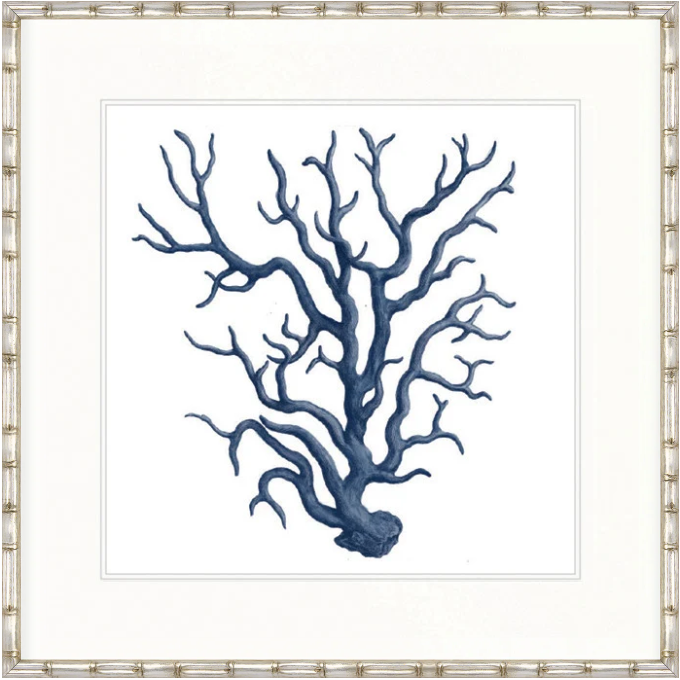 Designer Boys Natural Coral IX Indigo framed artwork featuring an archival deep blue branching coral illustration on white fine art paper.