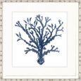 Designer Boys Natural Coral VII Indigo framed artwork featuring an archival branching blue coral illustration on white fine art paper.