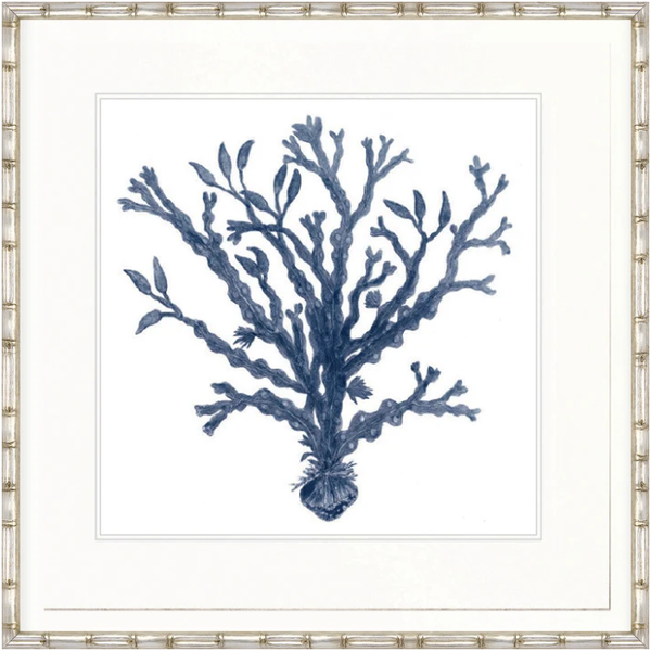Designer Boys Natural Coral VII Indigo framed artwork featuring an archival branching blue coral illustration on white fine art paper.