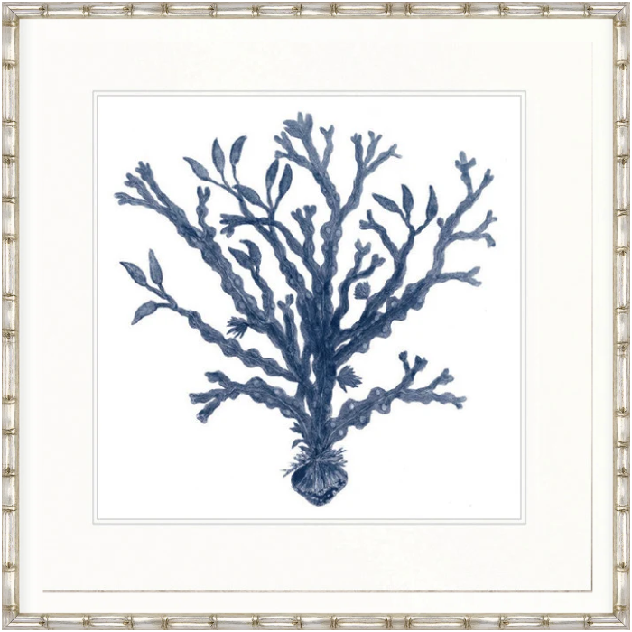 Designer Boys Natural Coral VII Indigo framed artwork featuring an archival branching blue coral illustration on white fine art paper.