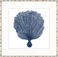 Designer Boys Natural Coral VIII Indigo framed artwork featuring an archival blue fan coral illustration on white fine art paper.