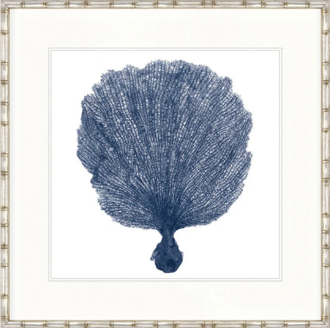 Designer Boys Natural Coral VIII Indigo framed artwork featuring an archival blue fan coral illustration on white fine art paper.