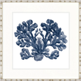 Designer Boys Natural Coral XI Indigo framed artwork featuring a detailed archival blue coral illustration on white fine art paper.