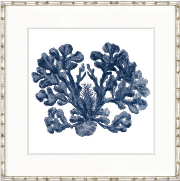 Designer Boys Natural Coral XI Indigo framed artwork featuring a detailed archival blue coral illustration on white fine art paper.