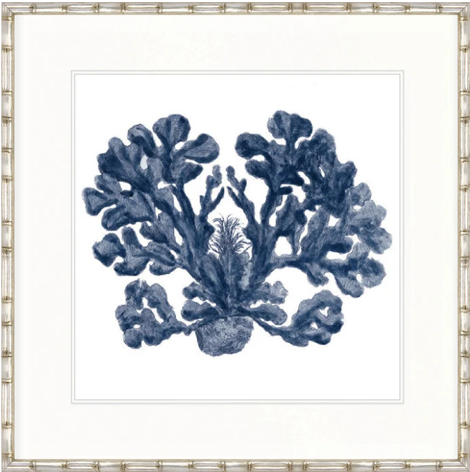 Designer Boys Natural Coral XI Indigo framed artwork featuring a detailed archival blue coral illustration on white fine art paper.