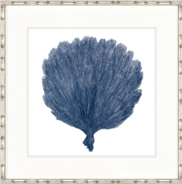 Designer Boys Natural Coral XII Indigo framed artwork featuring a deep blue archival fan coral illustration on white fine art paper.