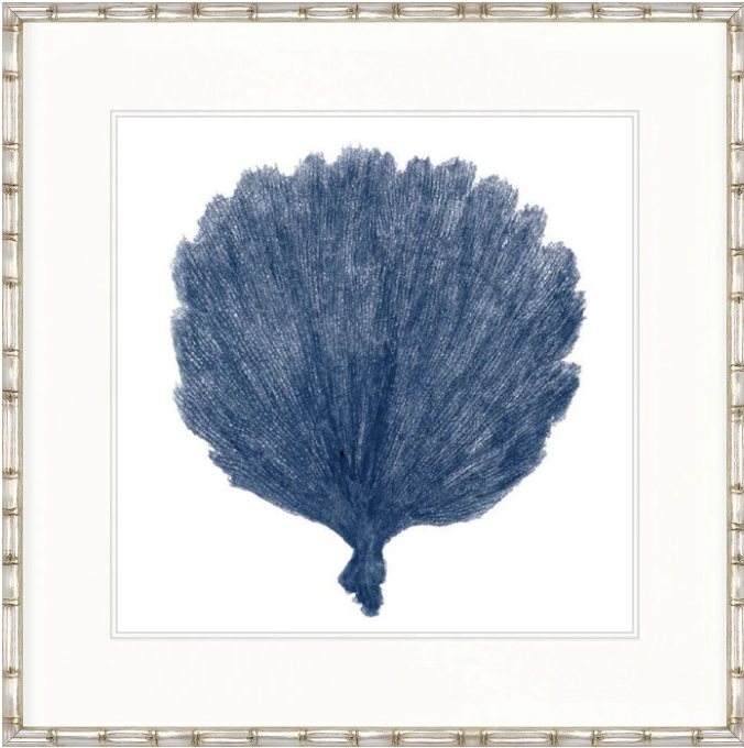 Designer Boys Natural Coral XII Indigo framed artwork featuring a deep blue archival fan coral illustration on white fine art paper.