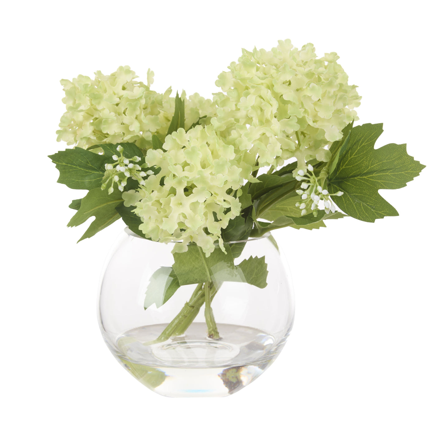 Snowball in Phoebe Vase Green 21cm