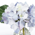 Hydrangea in Clear Vase Blue